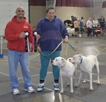 American Bulldog Club